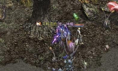 螢幕擷取畫面 2026-03-06 204425.png